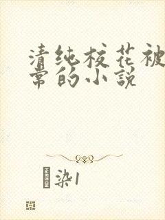 清纯校花被擒日常的小说