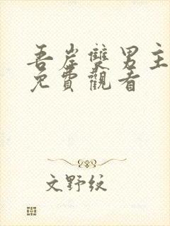 吾岸双男主高清免费观看