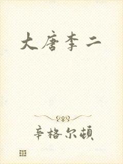 大唐李二