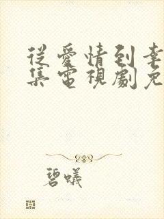 从爱情到幸福全集电视剧免费观看