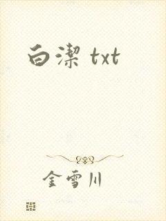白洁 txt封面