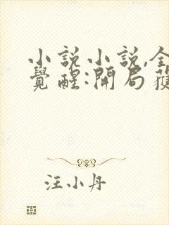 小说小说,全民觉醒:开局获得sss级天赋