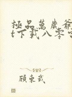 极品万岁爷txt下载八零电子书