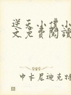 逆天小仆小说全文免费阅读