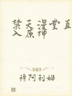 禁天漫堂直接进入原神