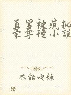 直男被疯批强取豪夺后小说褚阮白