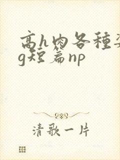 高h肉各种姿势g短篇np
