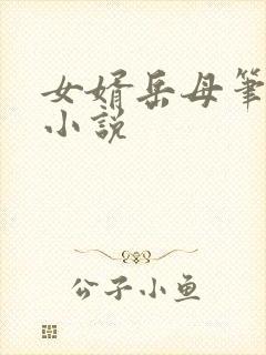 女婿岳母笔趣阁小说封面