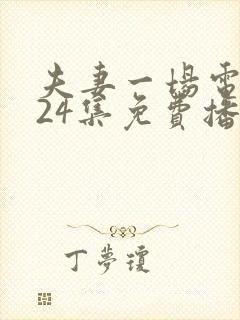 夫妻一场电视剧24集免费播放