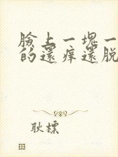 脸上一块一块红的还痒还脱皮怎么办