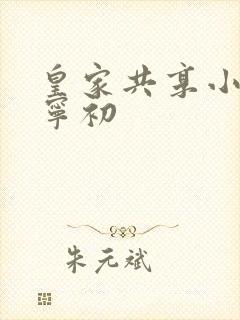 皇家共享小公主宁初