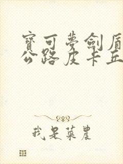 宝可梦剑盾四号公路皮卡丘