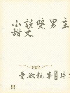 小说双男主推荐甜文