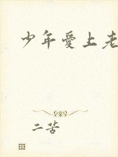 少年爱上老女人