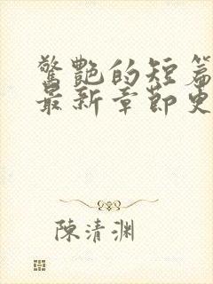 惊艳的短篇合集最新章节更新艳情小说封面