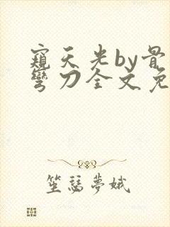 窥天光by骨色弯刀全文免费阅读笔趣阁