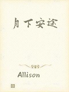 月下安途封面
