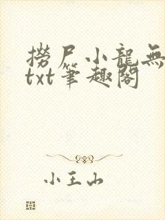 捞尸小龙无弹窗txt笔趣阁