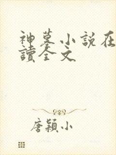 神墓小说在线阅读全文