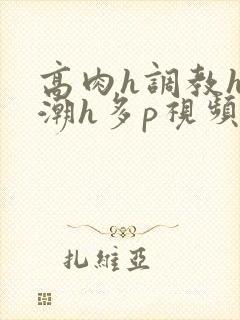 高肉h调教h高潮h多p视频
