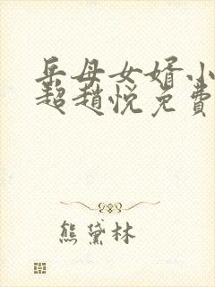 岳母女婿小说陈超赵悦免费阅读全文