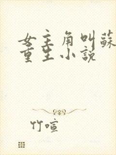 女主角叫苏洛的重生小说