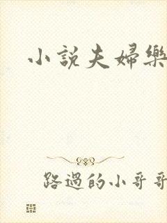 小说夫妇乐园封面