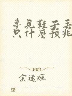 梦见鞋子丢了一只什么预兆