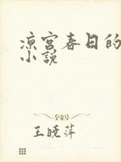 凉宫春日的忧郁小说