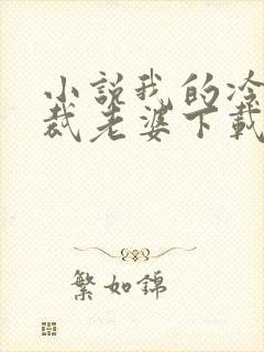 小说我的冷艳总裁老婆下载