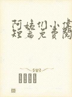 阿姨们小伟小说短篇免费阅读封面