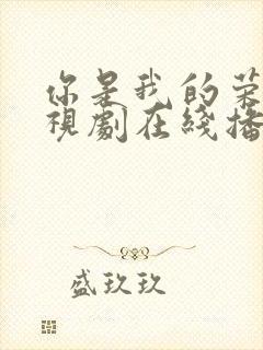 你是我的荣耀电视剧在线播放免费观看