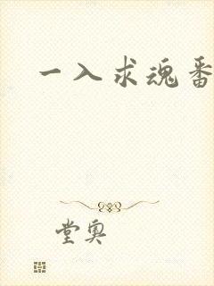 一入求魂番外篇