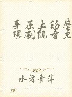 平原上的摩西电视剧观看免费完整版封面