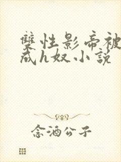 双性影帝被调教成h奴小说封面