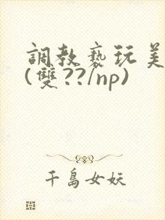 调教亵玩美人受(双??/np)