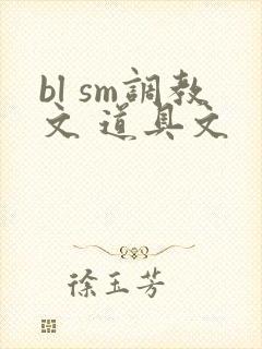 bl sm调教文 道具文封面