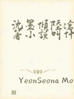 沈墨倾陆沧鸣原著小说叫什么