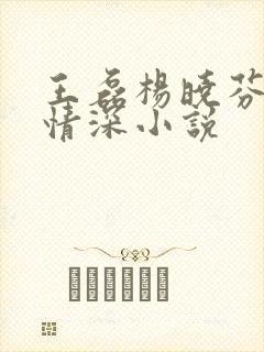 王磊杨晓芬后妈情深小说封面