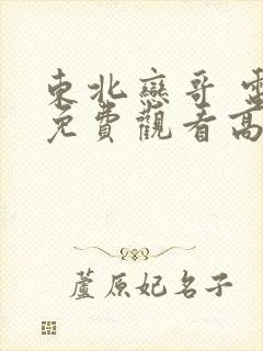 东北恋哥 电影免费观看高清版封面