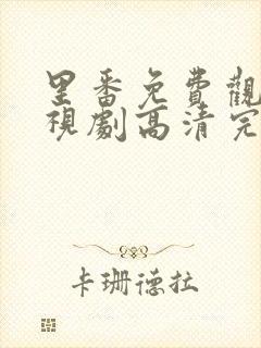 里番免费观看电视剧高清完整版动漫封面