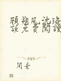 顾朔风沈珞舒小说免费阅读最新章节封面