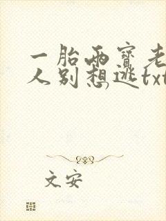 一胎两宝老婆大人别想逃txt免费下载封面