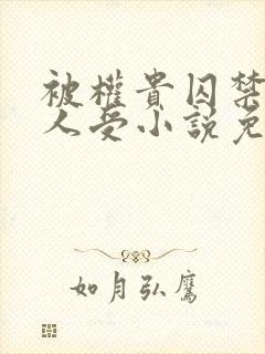 被权贵囚禁的美人受小说免费阅读下