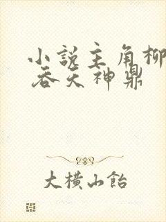 小说主角柳无邪 吞天神鼎