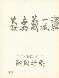 史上第一混乱小说无删减版