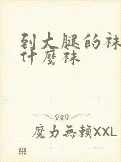 到大腿的袜子叫什么袜