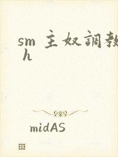sm 主奴调教 h