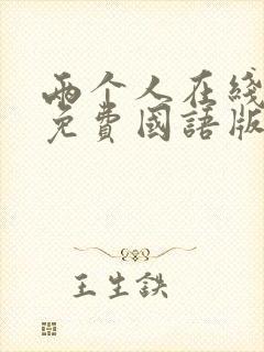 两个人在线观看免费国语版电影