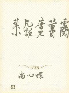 叶凡唐若雪医婿小说免费阅读